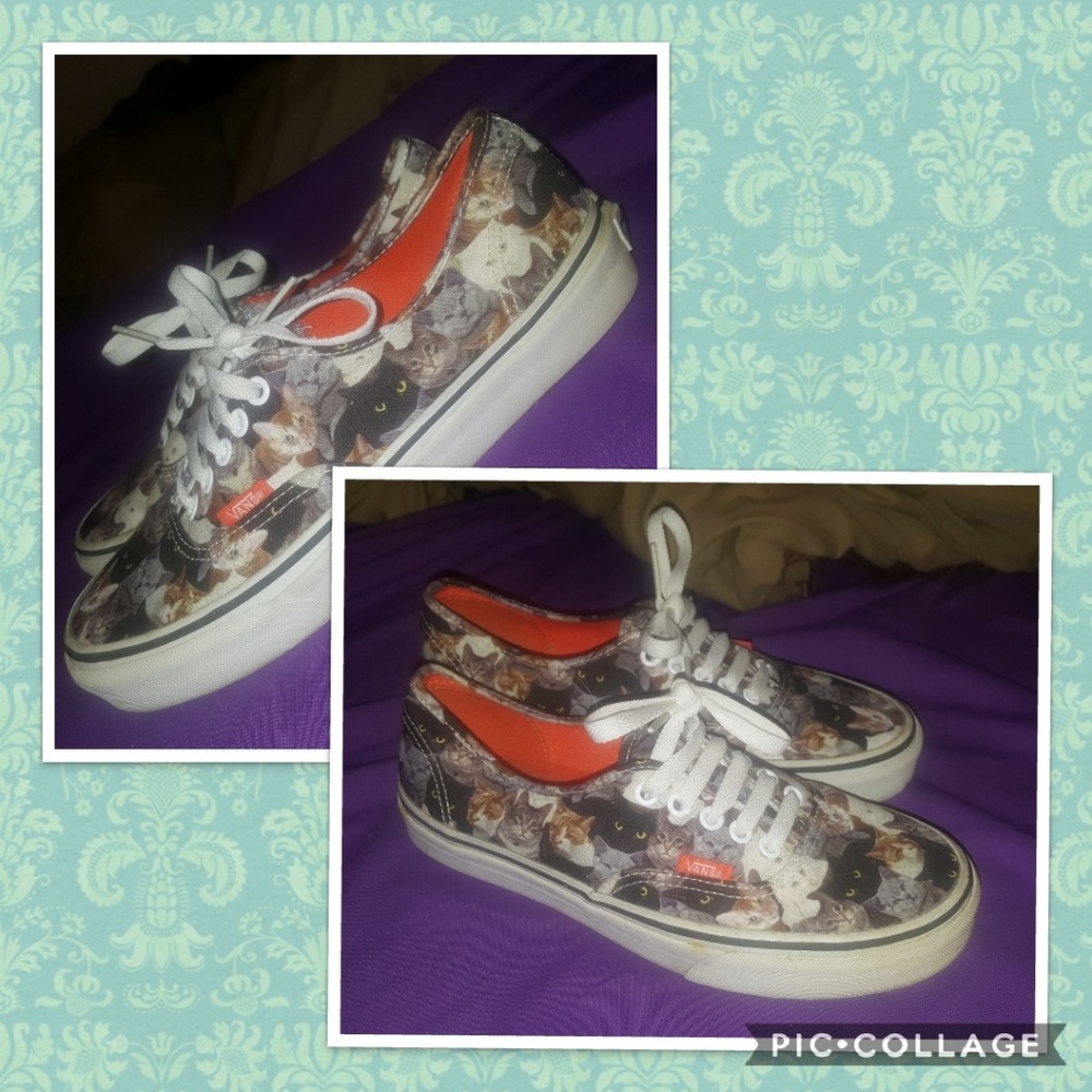 Cat Vans 🐱🐈
